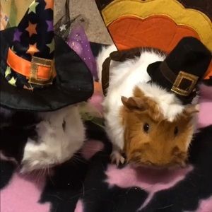 Meet your Posher, Baby batman